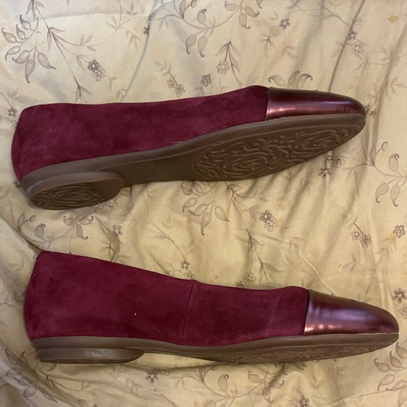 Taryn Rose Annabella Ballet Flats - Picture 8 of 8